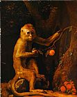 Green Monkey by George Stubbs